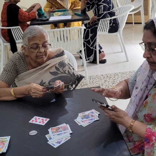 Roshini Recreation Center for Seniors (9)